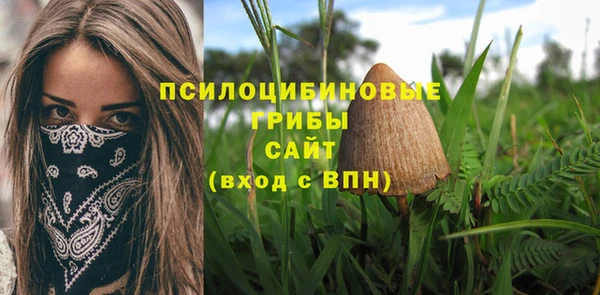 первитин Болохово