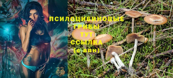 эйфоретик Абдулино