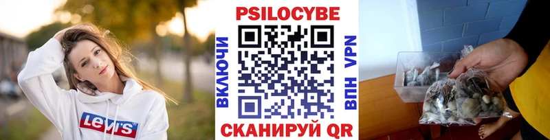 Псилоцибиновые грибы Cubensis  Моршанск 