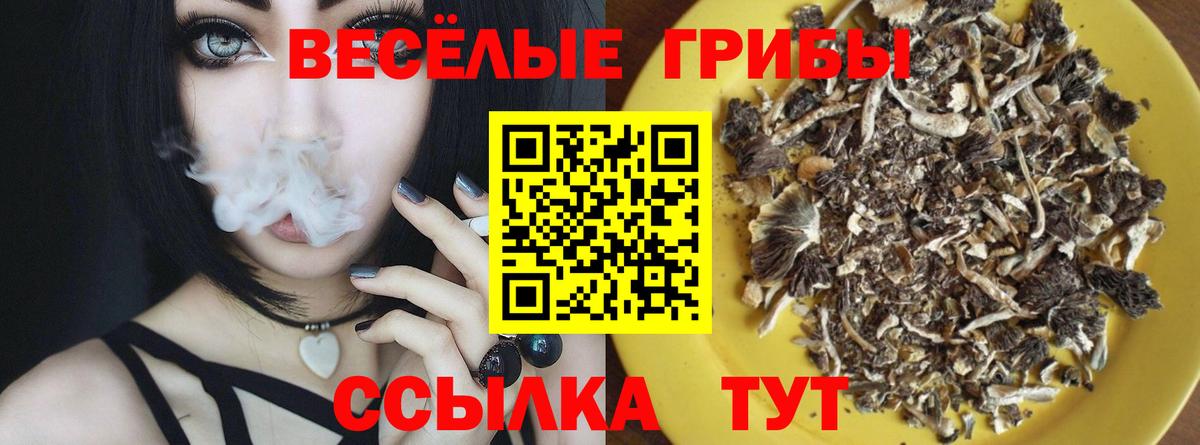 Моршанск  Псилоцибиновые грибы MAGIC MUSHROOMS  Вход с VPN 